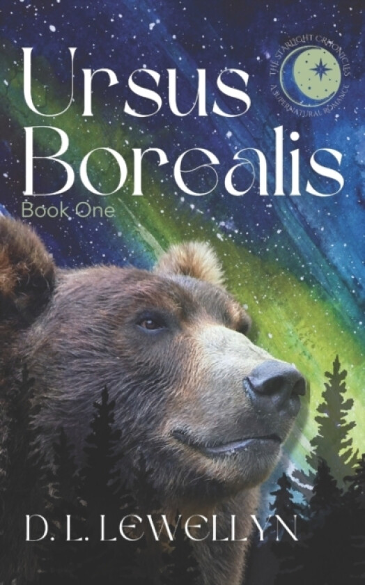 The Starlight Chronicles av D L Lewellyn (Paperback)