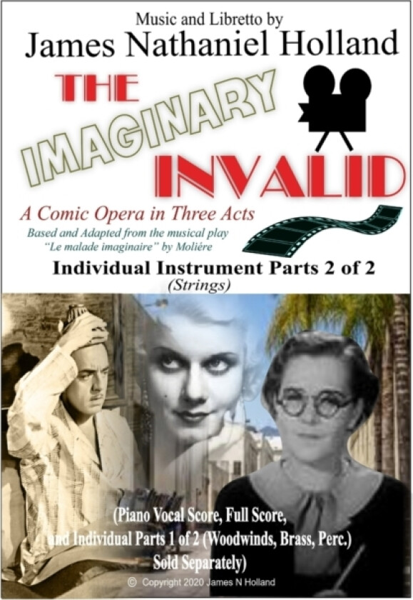 The Imaginary Invalid av James Nathaniel Holland (Paperback)