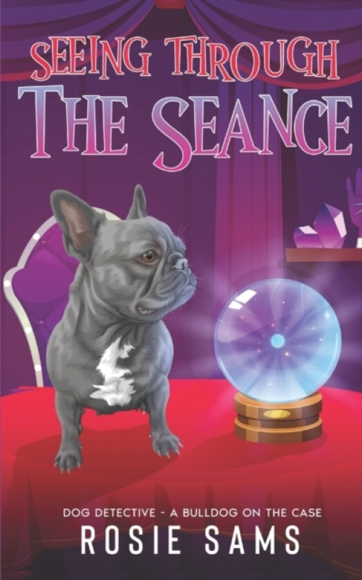 Seeing Through the Seance av Rosie Sams (Paperback)