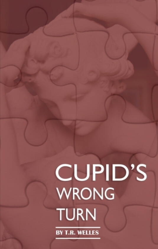Cupid's Wrong Turn av T R Welles (Paperback)