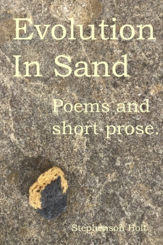 Evolution In Sand av Stephenson Holt (Paperback)