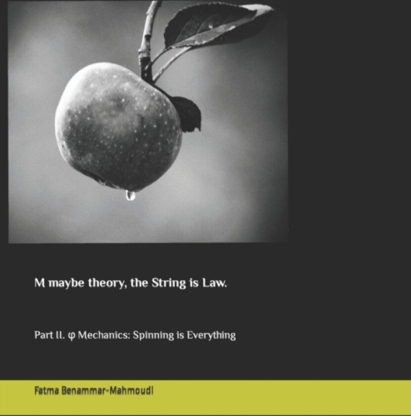 M maybe theory, the String is Law. av Fatma Benammar-Mahmoudi (Paperback)