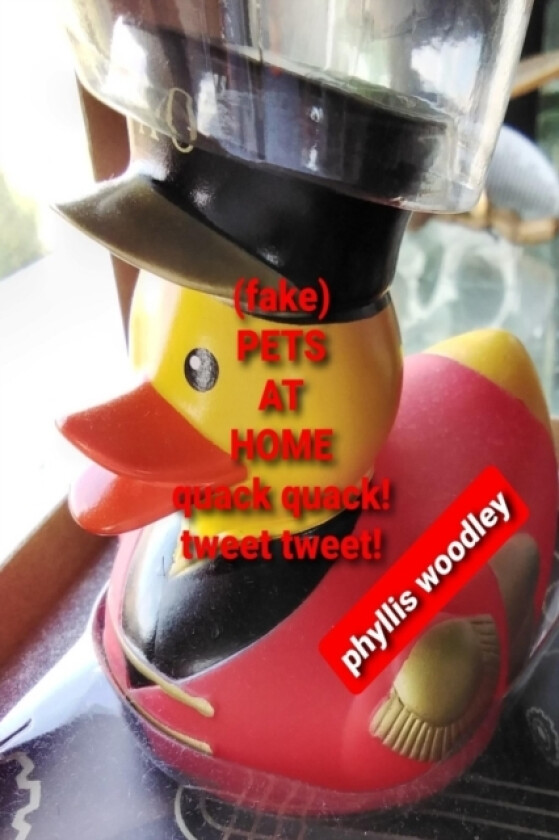 (fake) PETS AT HOME av Phyllis Woodley (Paperback)