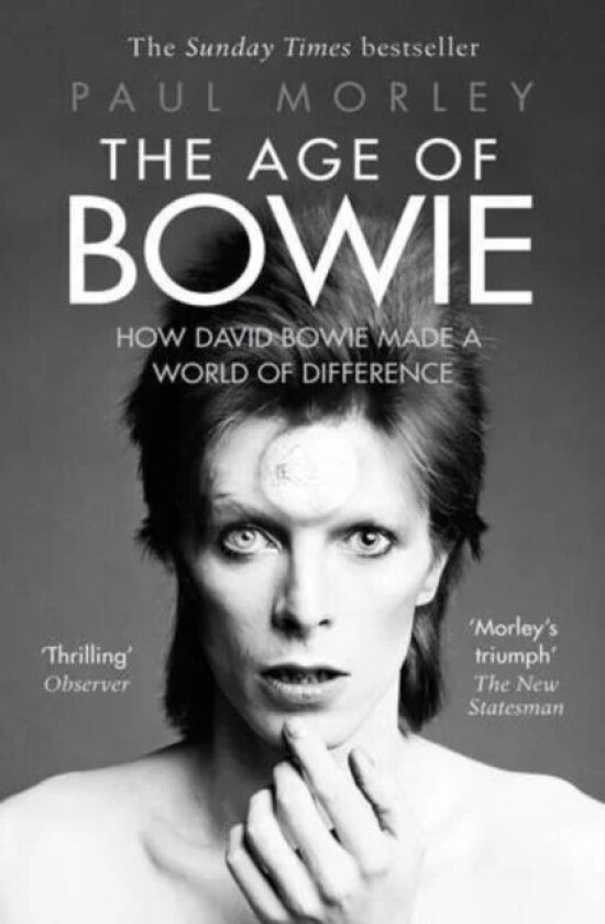 The Age of Bowie av Paul Morley