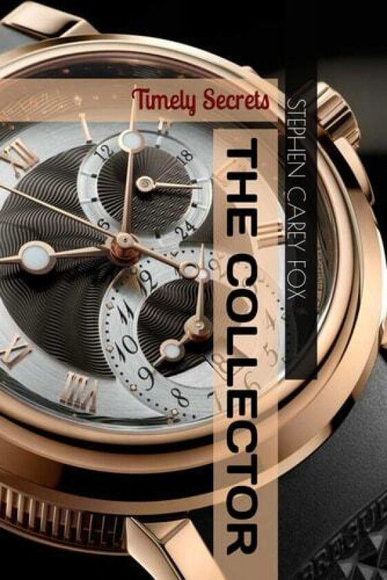 The Collector av Stephen Fox (Paperback)