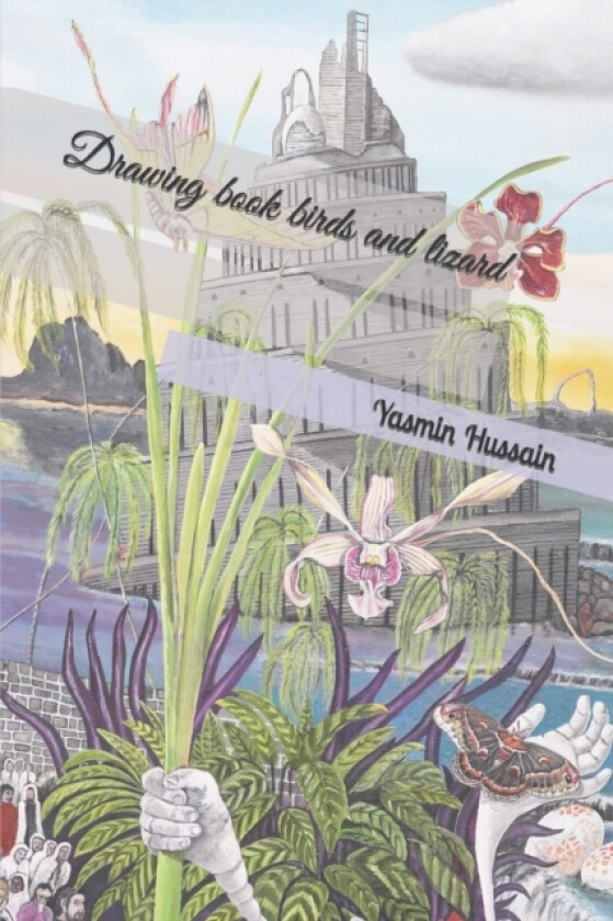 Drawing book birds and lizard av Yasmin Hussain (Paperback)