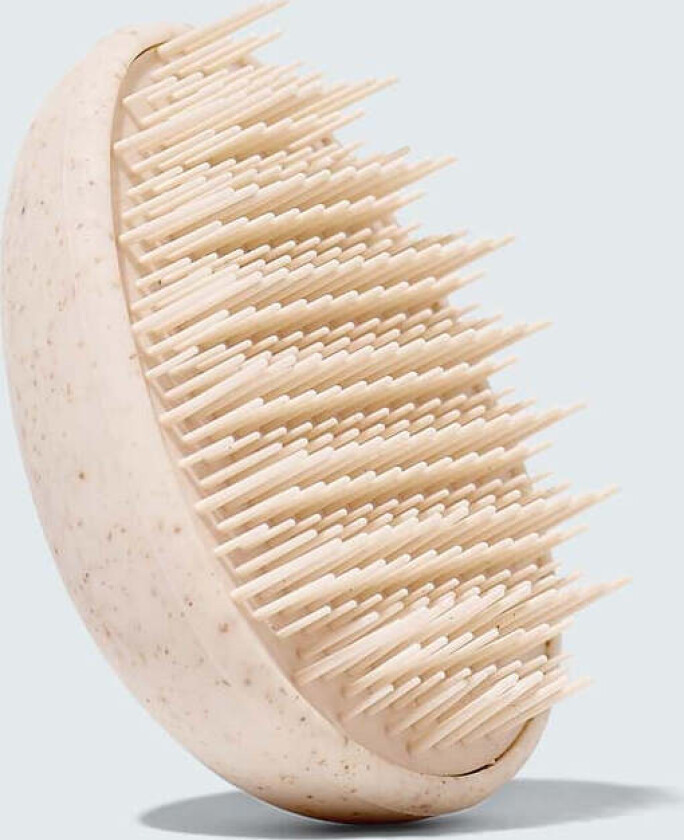 Wet Hair Detangler Brush, White