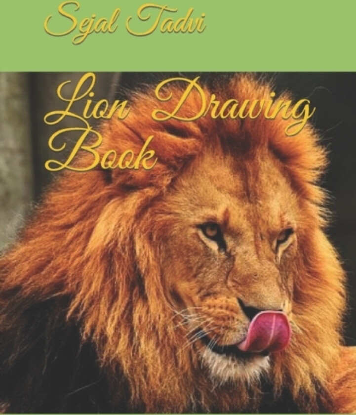 Lion Drawing Book av Sejal Tadvi (Paperback)