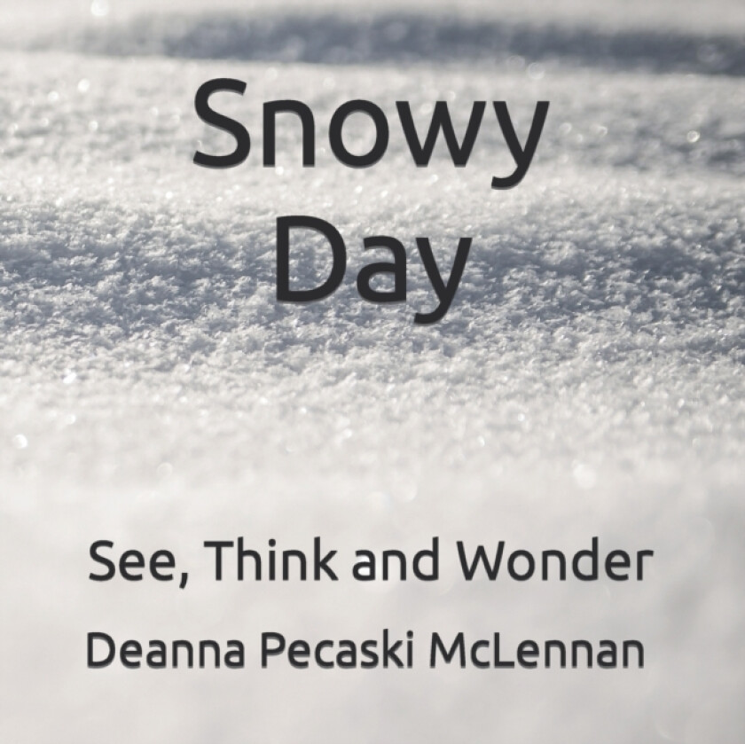 Snowy Day av Deanna Pecaski McLennan (Paperback)
