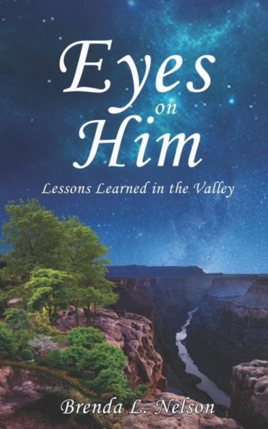 Eyes on Him av Brenda L Nelson (Paperback)