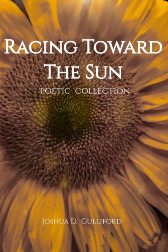 Racing Toward The Sun av Joshua D Gulliford (Paperback)