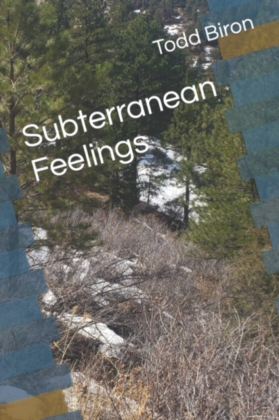 Subterranean Feelings av Todd Biron (Paperback)