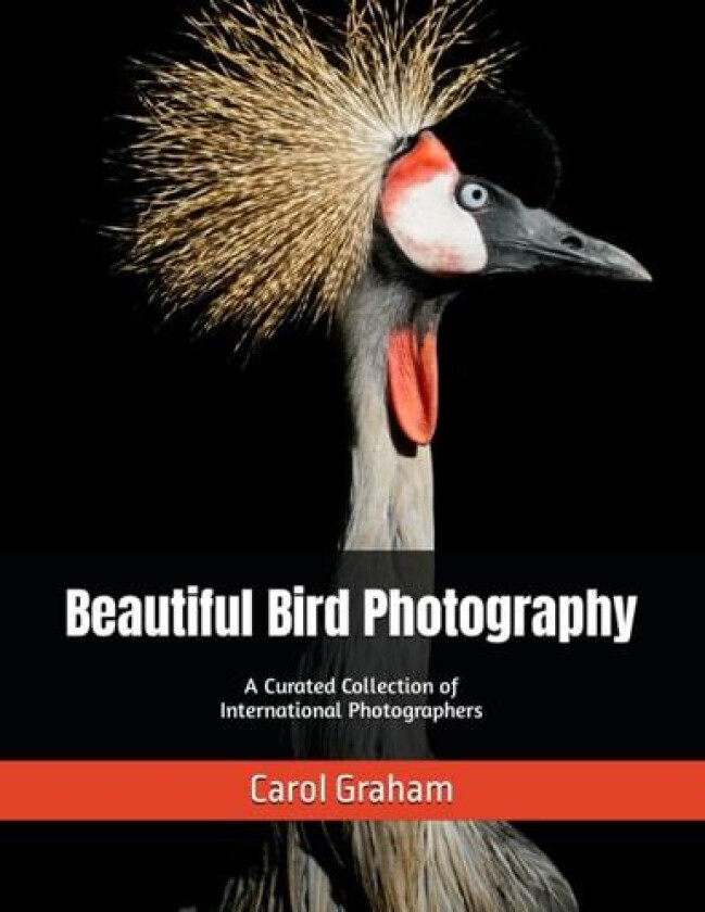Beautiful Bird Photography av Carol Graham (Paperback)