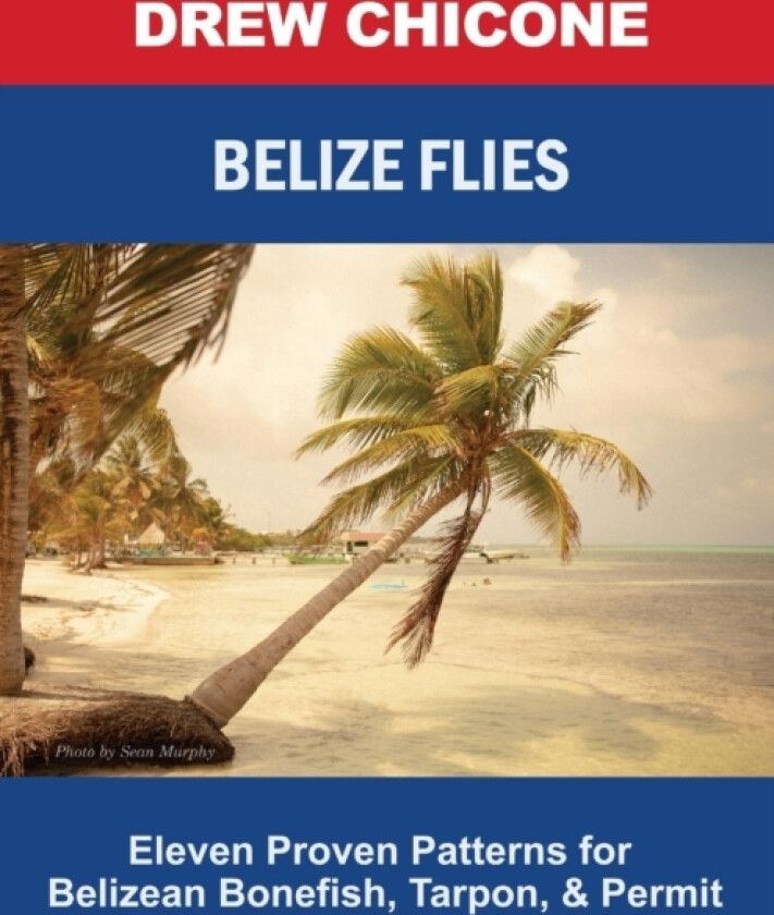 Belize Flies av Drew Chicone (Paperback)