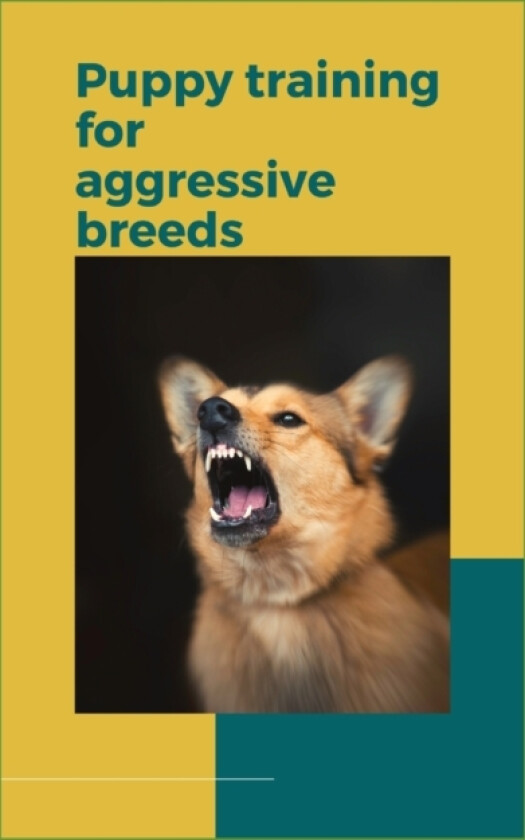 Puppy Training for Aggressive Breeds av Paul Fink (Paperback)