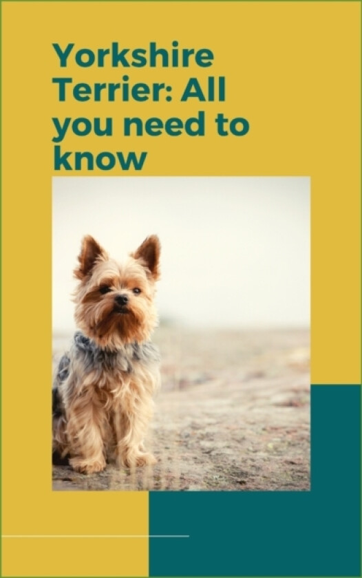 Yorkshire Terrier av Paul Fink (Paperback)