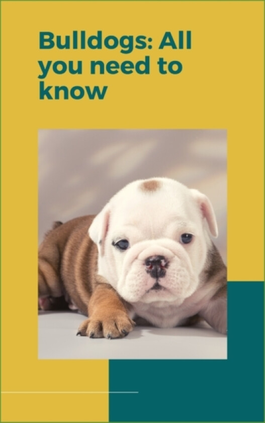 Bulldogs av Paul Fink (Paperback)