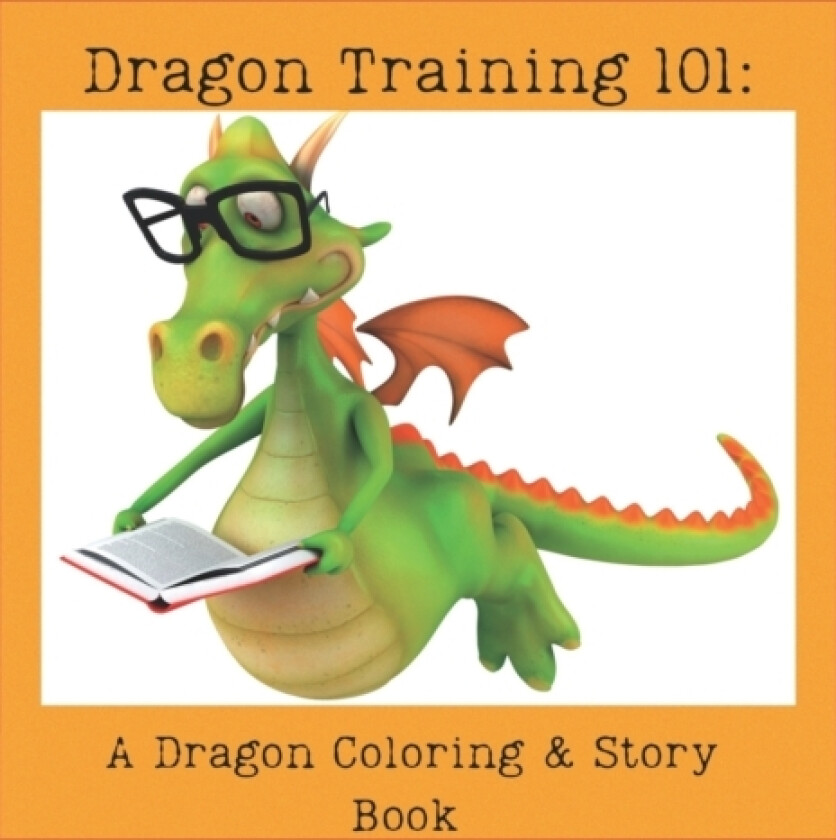 Dragon Training 101 av V Ratliff (Paperback)