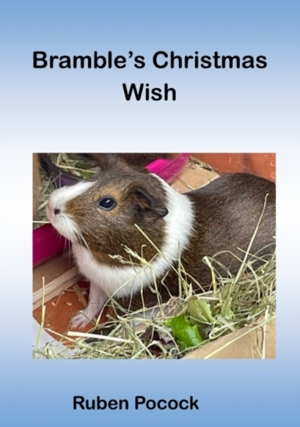 Bramble's Christmas Wish av Ruben Pocock (Paperback)