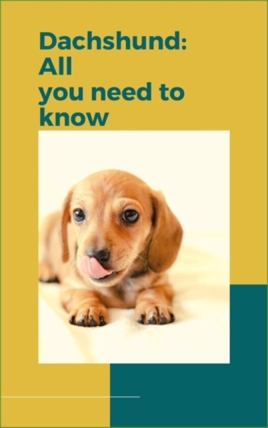 Dachshund av Paul Fink (Paperback)
