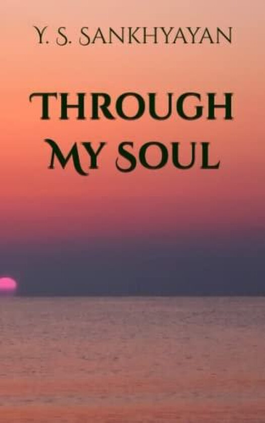 Through My Soul av Y. S. Sankhyayan (Paperback)