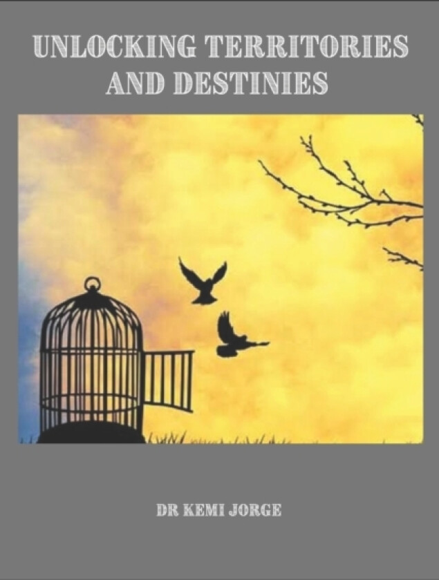 Unlocking Territories and Destinies av Kemi Jorge (Paperback)
