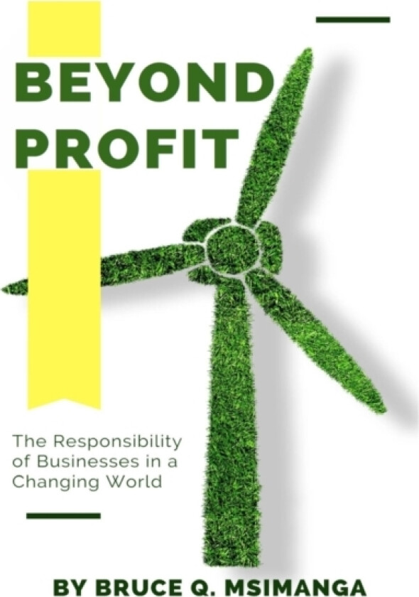 Beyond Profit av Bruce Qakathekile Msimanga (Paperback)