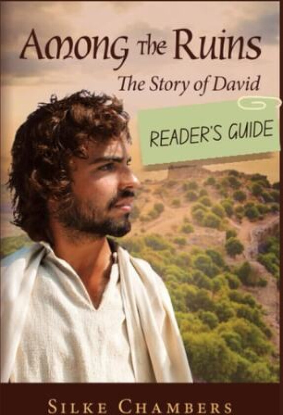 Among the Ruins--the Story of David Reader's Guide av Silke Chambers (Paperback)