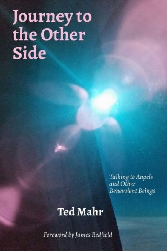 Journey to the Other Side av Ted Mahr (Paperback)