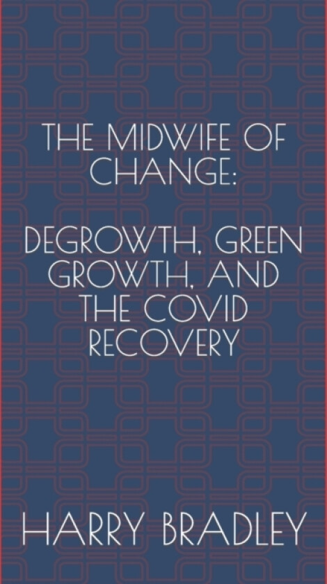 The Midwife of Change av Harry Bradley (Paperback)