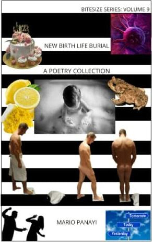 New Birth Life Burial av Mario Panayi (Paperback)