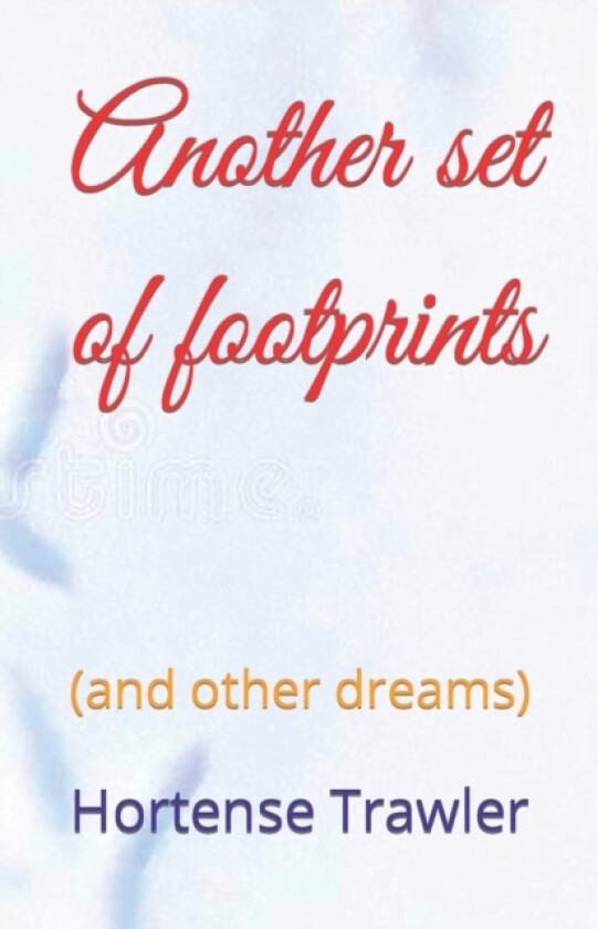 Another set of footprints av Hortense Trawler (Paperback)
