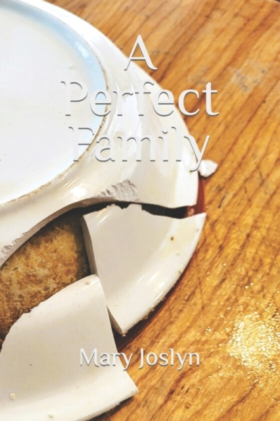 A Perfect Family av Mary Joslyn (Paperback)