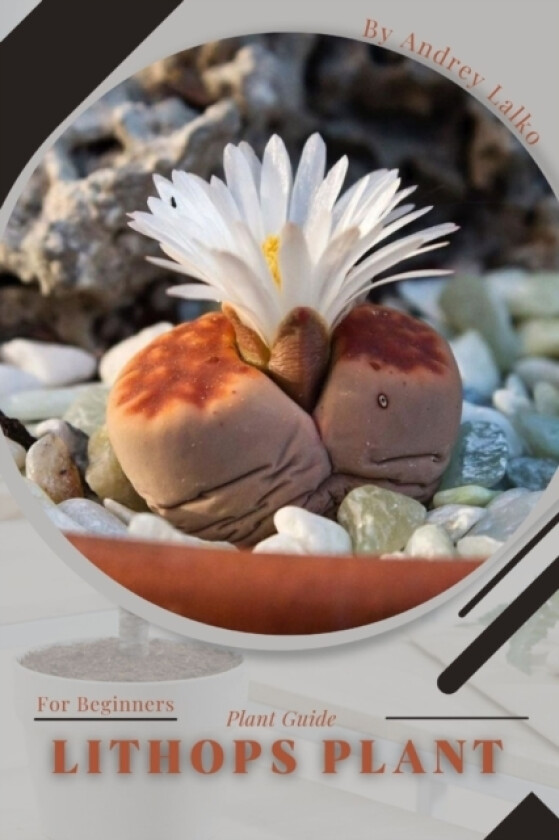 Lithops Plant av Andrey Lalko (Paperback)