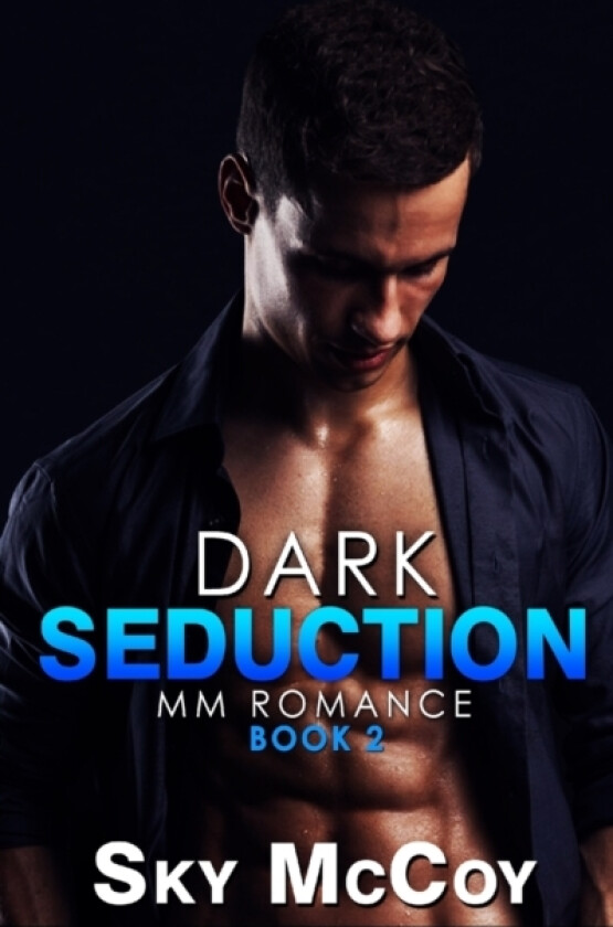 Dark Seduction av Sky McCoy (Paperback)