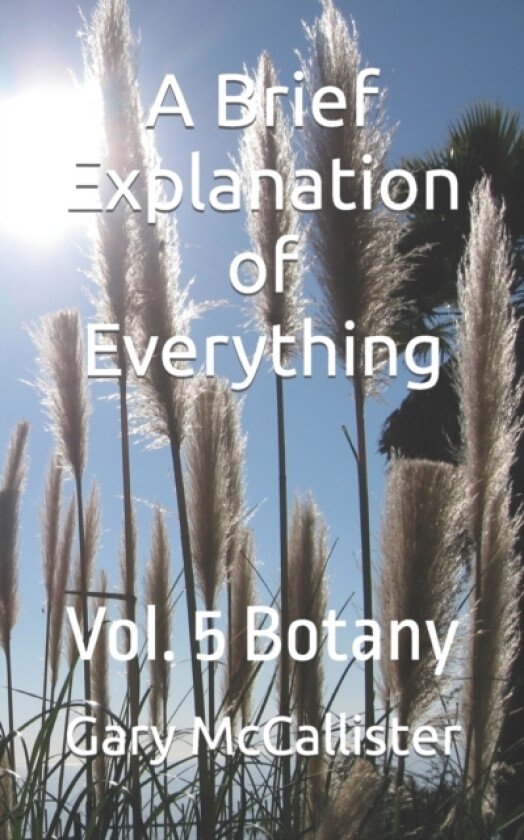A Brief Explanation of Everything av Gary McCallister (Paperback)