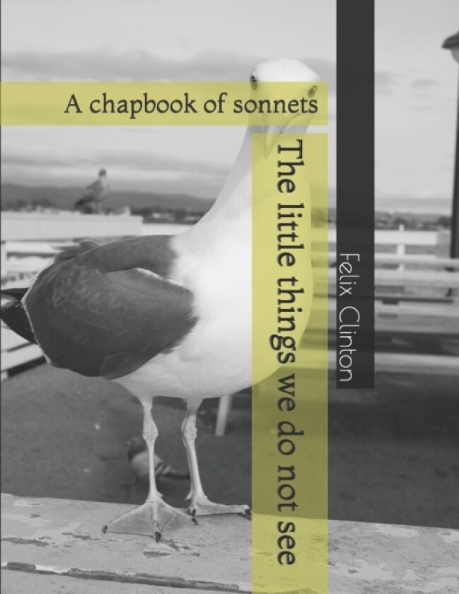 The little things we do not see av Felix Clinton (Paperback)