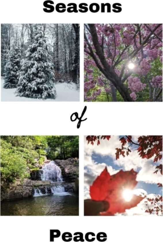 Seasons of Peace av Dean Krosecz (Paperback)