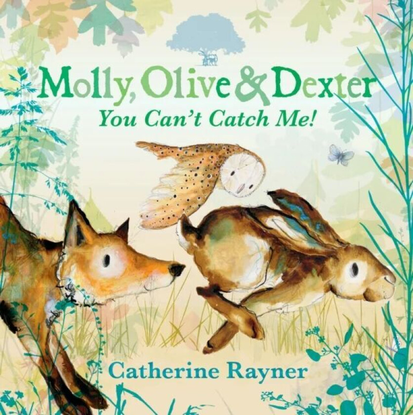 Molly, Olive And Dexter: You Can'T Catch Me! Av Catherine Rayner
