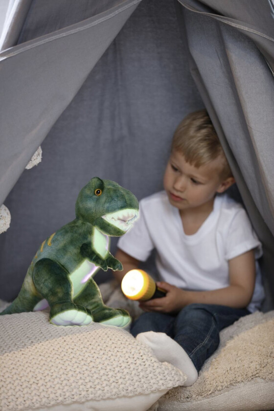 Självlysande Nattlampa Dinosaurie Grön Teddykompaniet