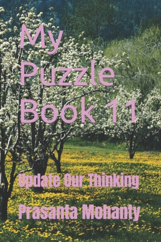 My Puzzle Book 11 av Prasanta Mohanty (Paperback)