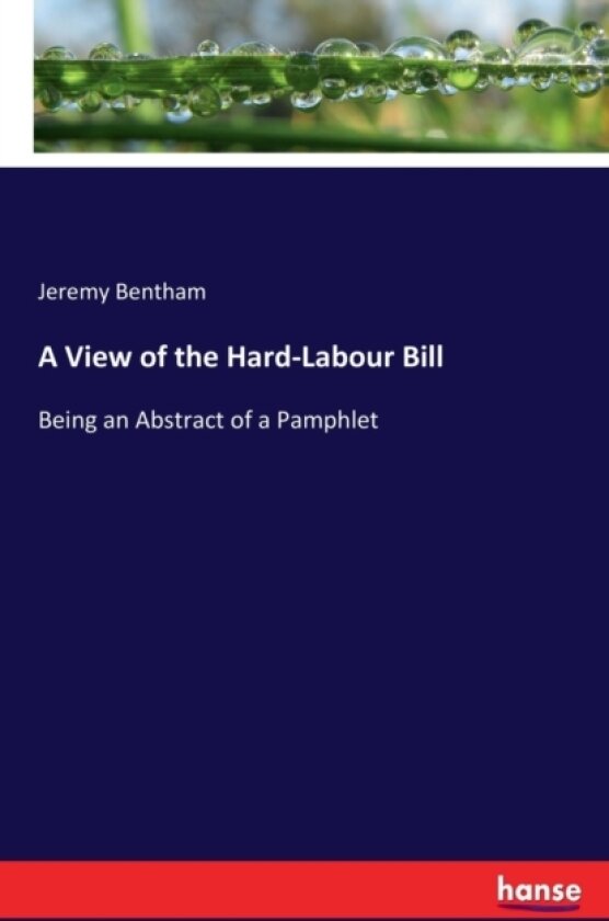 A View of the Hard-Labour Bill av Jeremy Bentham (Paperback)