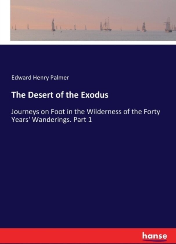 The Desert of the Exodus av Edward Henry Palmer (Paperback)