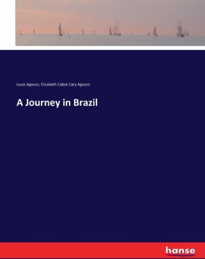 A Journey in Brazil av Louis Agassiz, Elizabeth Cabot Cary Agassiz (Paperback)