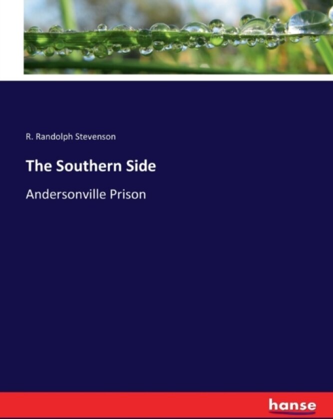 The Southern Side av R Randolph Stevenson (Paperback)