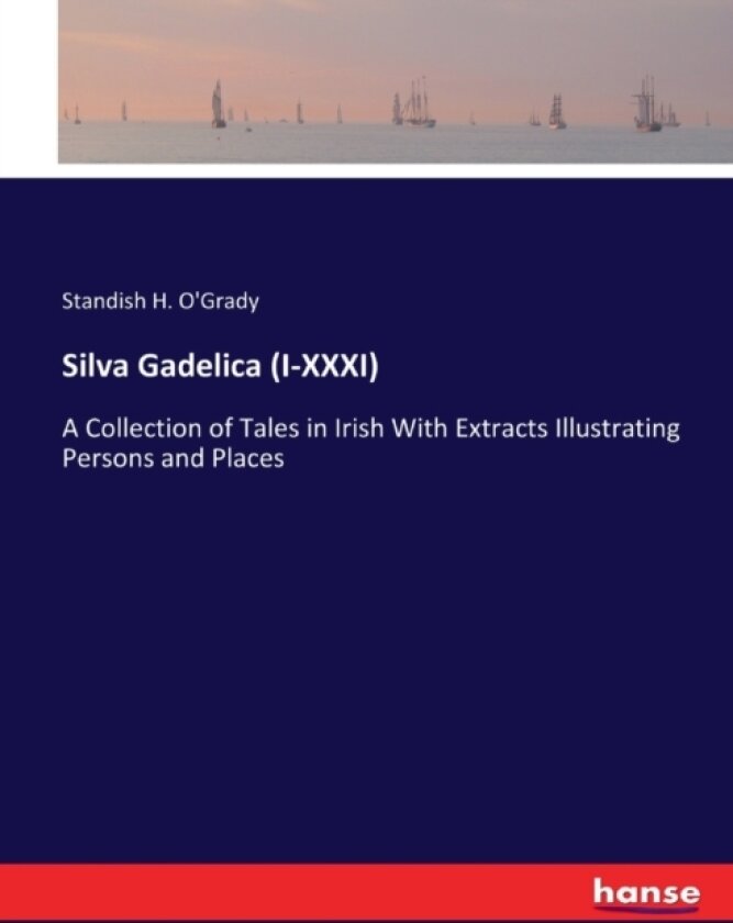 Silva Gadelica (I-XXXI) av Standish H O'Grady (Paperback)