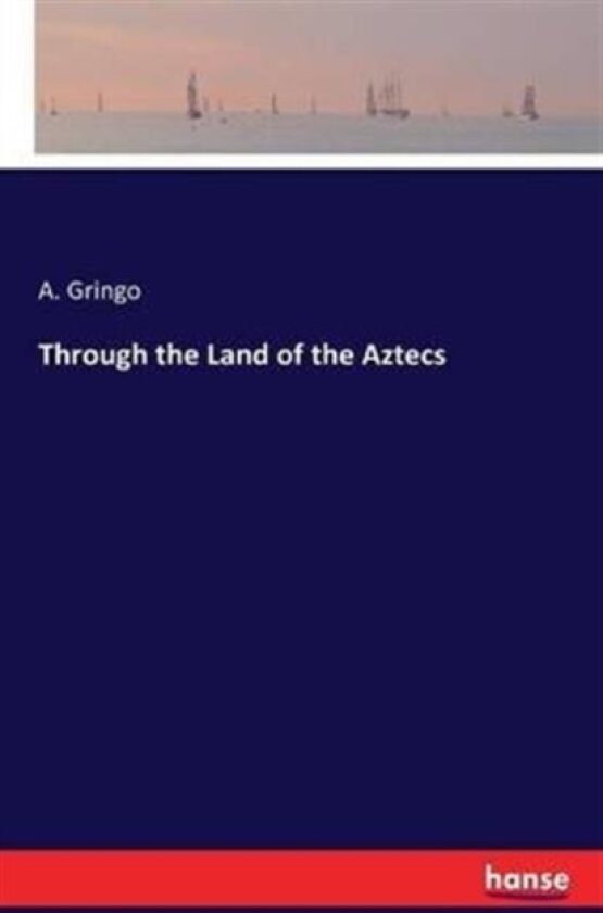 Through the Land of the Aztecs av A Gringo (Paperback)
