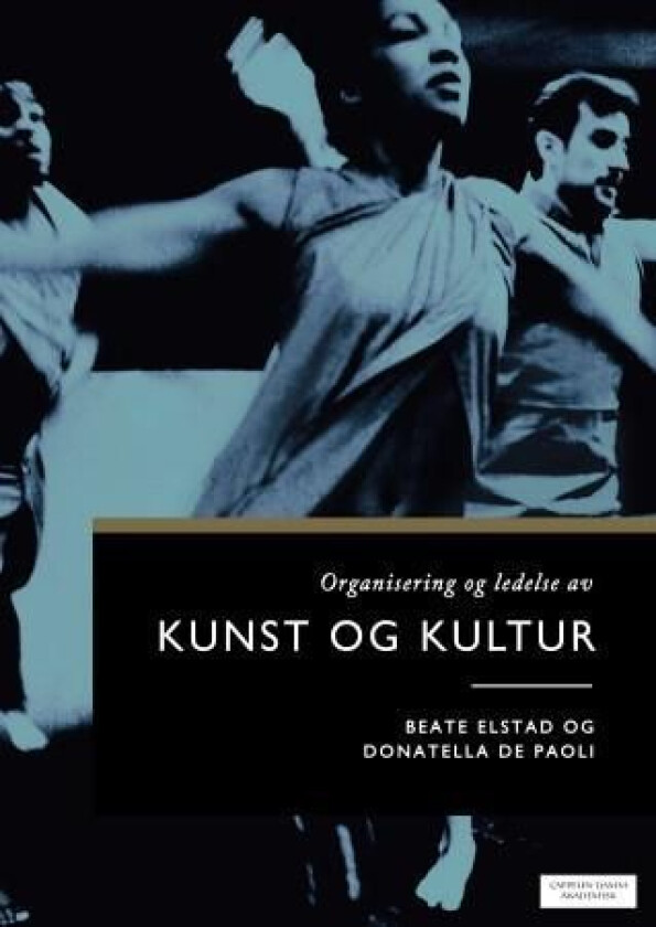 Organisering og ledelse av kunst og kultur av Donatella De Paoli, Beate Elstad