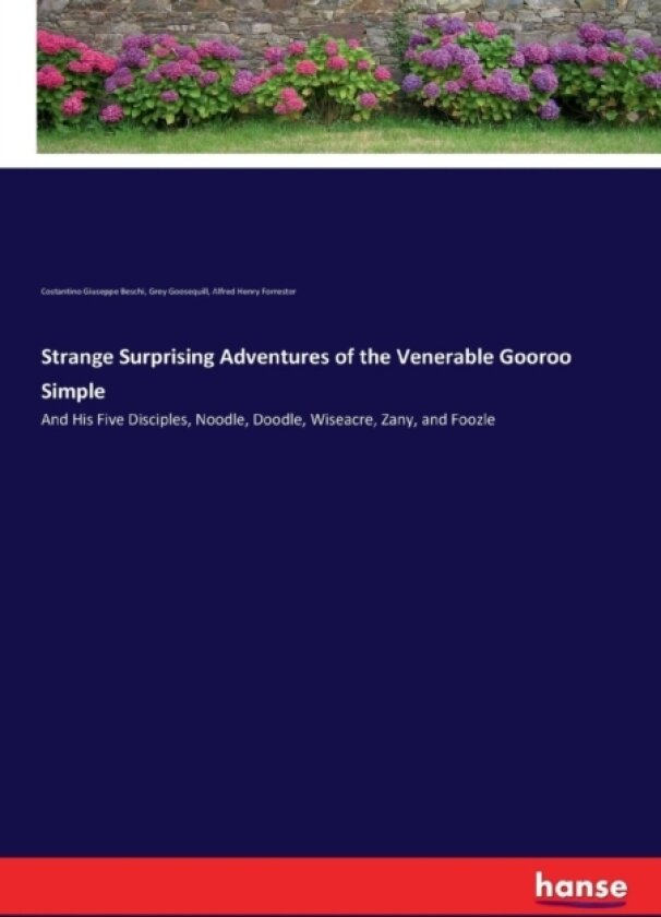 Strange Surprising Adventures of the Venerable Gooroo Simple av Costantino Giuseppe Beschi, Grey Goosequill, Alfred Henry Forrester (Paperback)