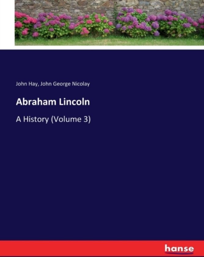 Abraham Lincoln av John Hay, John George Nicolay (Paperback)